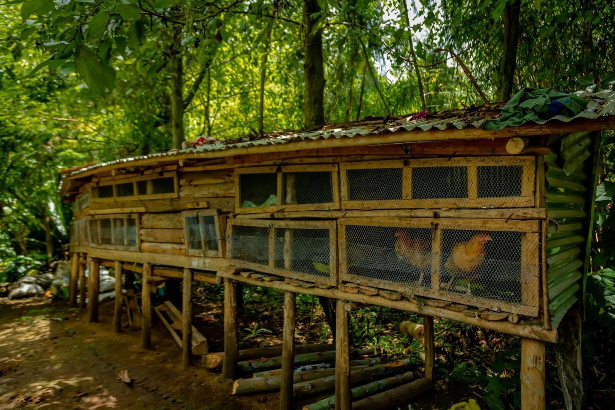 Fravan Eco Resort By Apogee Рухенгери Екстериор снимка